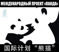 РДФ-  Международная медицинская программа «Панда»